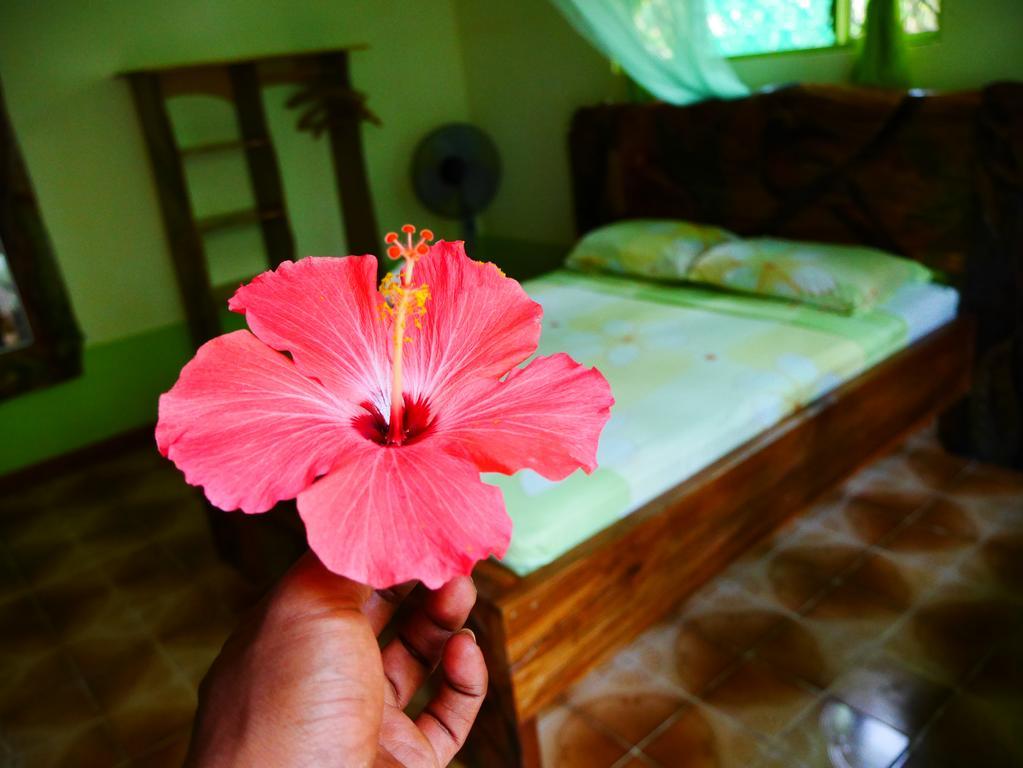 Cabinas Tito カウイータ エクステリア 写真